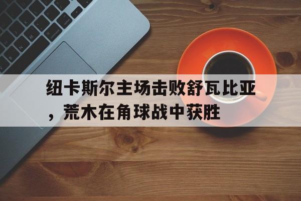 纽卡斯尔主场击败舒瓦比亚，荒木在角球战中获胜